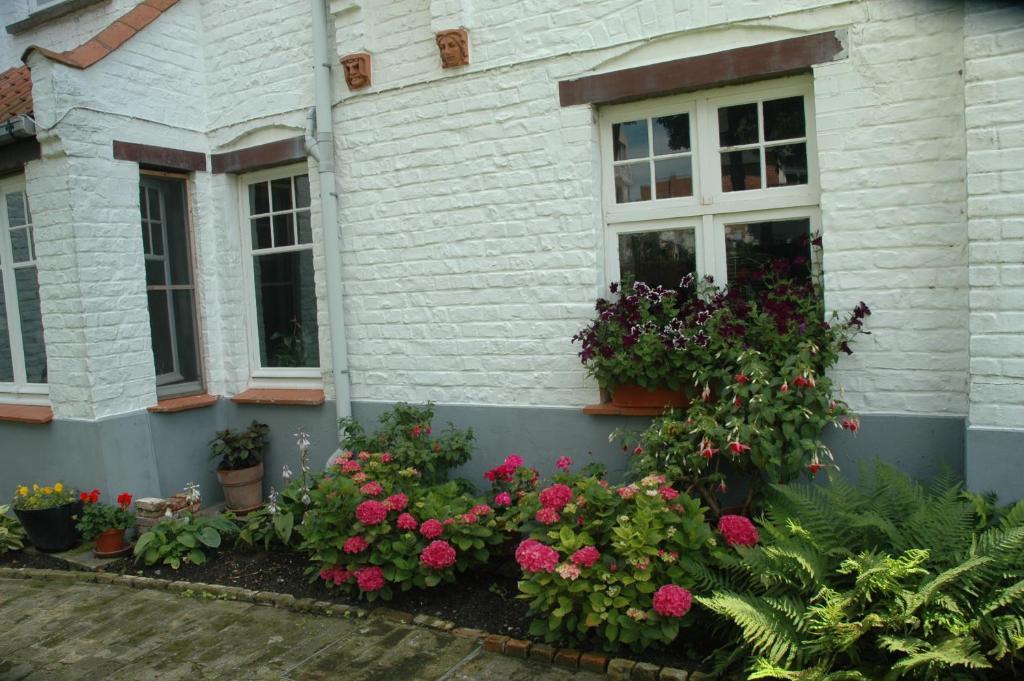 B&B Le Maquis De Haan Exterior foto